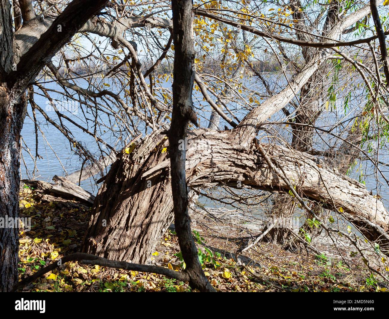 Landschaft am Zusammenfluss von Missouri und Mississippi Stockfoto