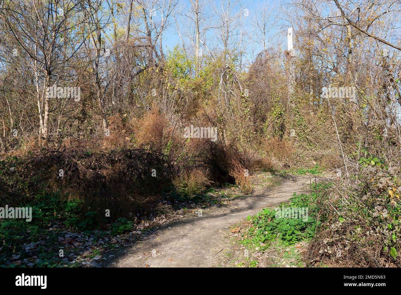 Landschaft am Zusammenfluss von Missouri und Mississippi Stockfoto