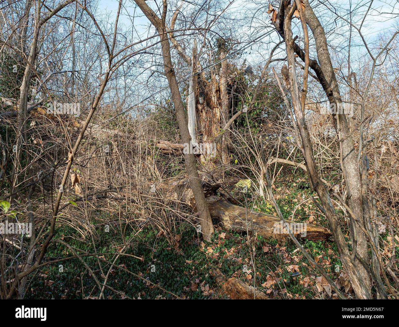 Landschaft um den Fluss des Peres Stockfoto