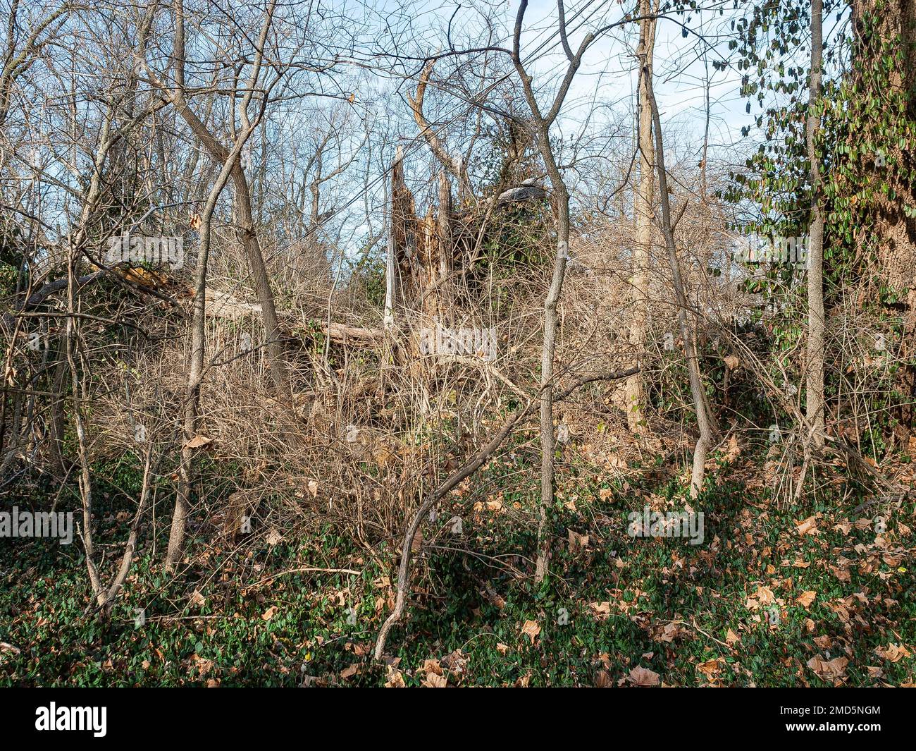 Landschaft um den Fluss des Peres Stockfoto