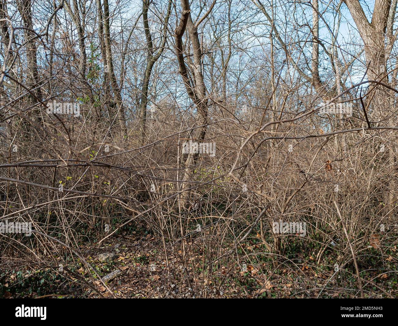 Landschaft um den Fluss des Peres Stockfoto