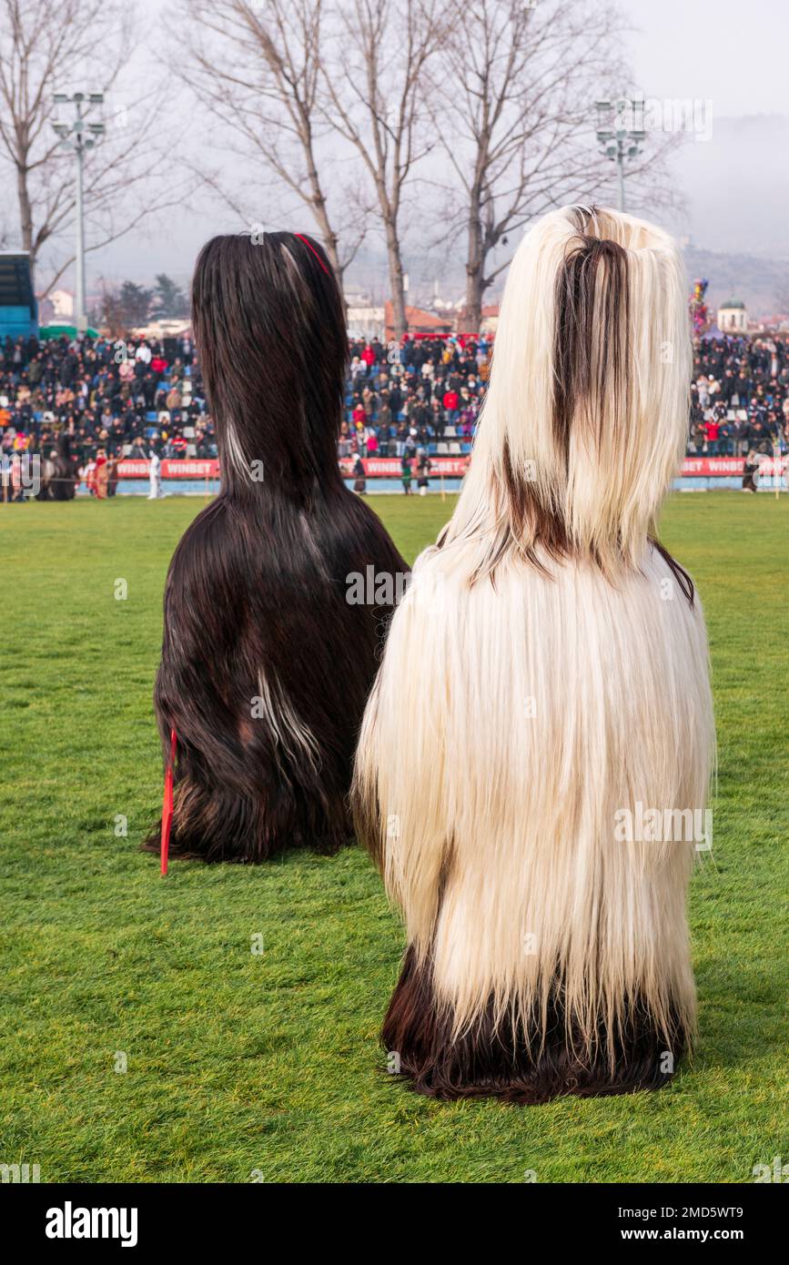 Kukeri-Tänzer riefen Babugeri beim jährlichen Simitlia-Winterfestival in Simitli, Blagoevgrad County, Bulgarien, Balkan, EU Stockfoto