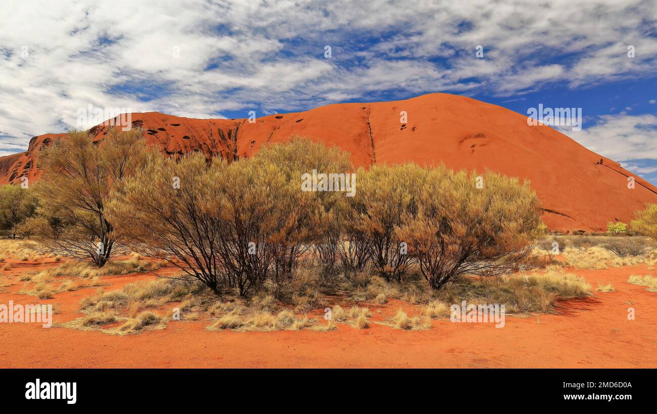 432 Bereich neben der NW-Ecke vom Fußweg um den Uluru-Ayers Rock aus gesehen. NT-Australien. Stockfoto