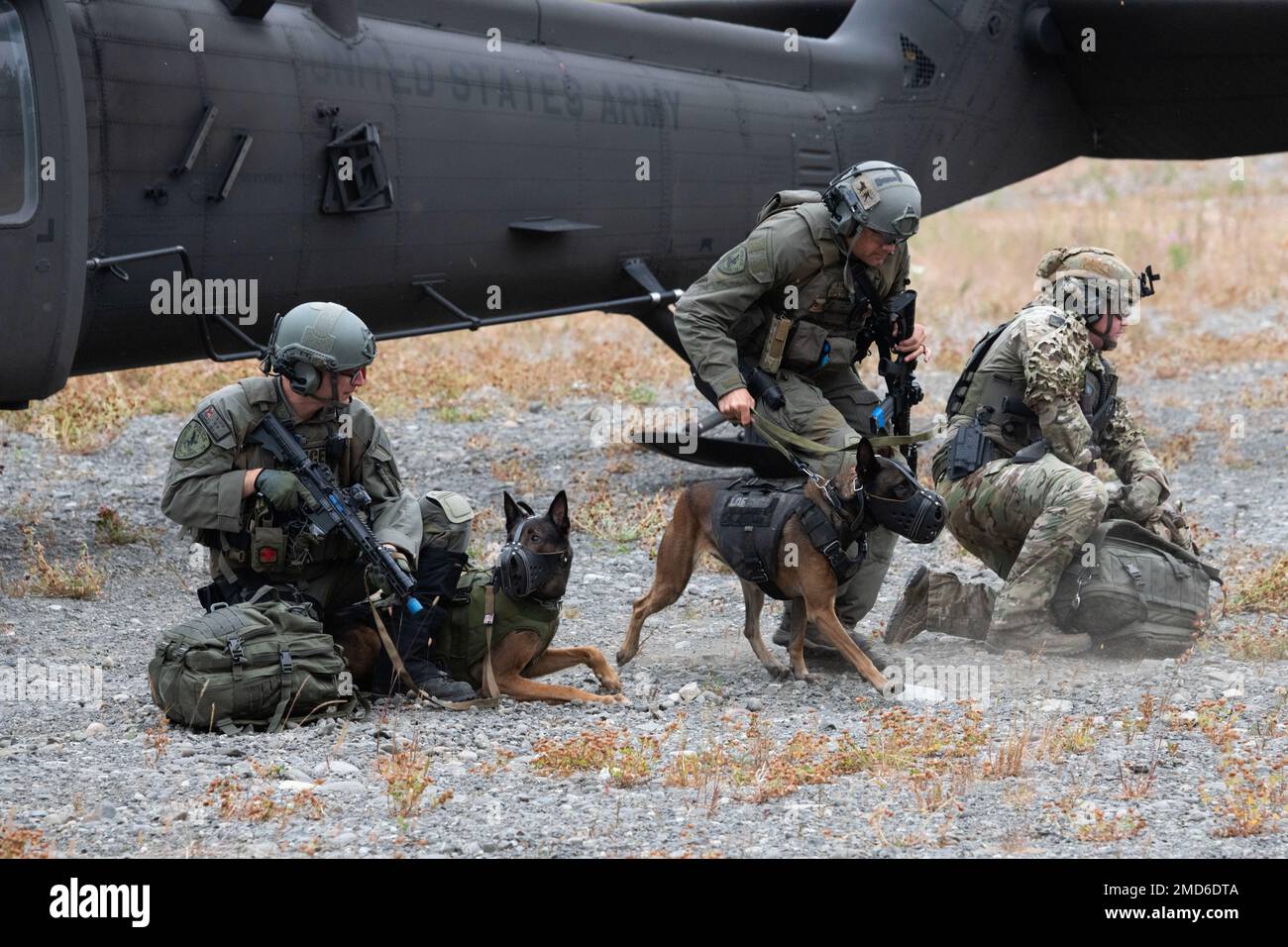 Spezialwaffen und Taktik (SWAT) der Polizei von Anchorage K-9-Teams verlassen einen Alaska Army National Guard UH-60L Black Hawk auf der Joint Base Elmendorf-Richardson, Alaska, 13. Juli 2022. Die ausgedehnten und strengen Ausbildungsbereiche von JBER boten den idealen Rahmen für örtliche Einsatzteams der Strafverfolgungsbehörden, da sie ihre Fähigkeiten im ländlichen Bereich, Aufgabenplanung, Aufklärung, Sicherheitsverfahren für Hubschrauber, Landnavigation, Team-Bewegung und Patrouille. Stockfoto