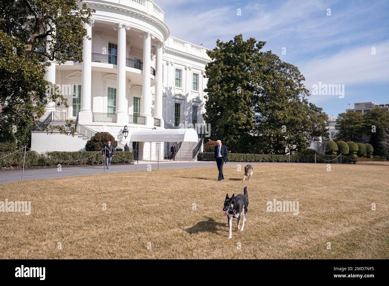 Reportage: Präsident Joe Biden geht mit den Hunden der Biden-Familie, Champ und Major Dienstag, den 9. Februar 2021, auf dem südlichen Rasen des Weißen Hauses spazieren Stockfoto
