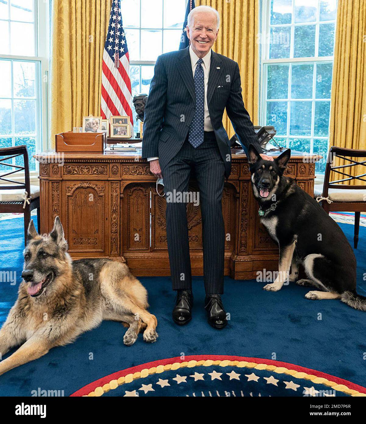 Reportage: Präsident Joe Biden posiert mit dem Biden Familienhund Champ und Major Tuesday, 9. Februar 2021, im Oval Office des Weißen Hauses. Stockfoto