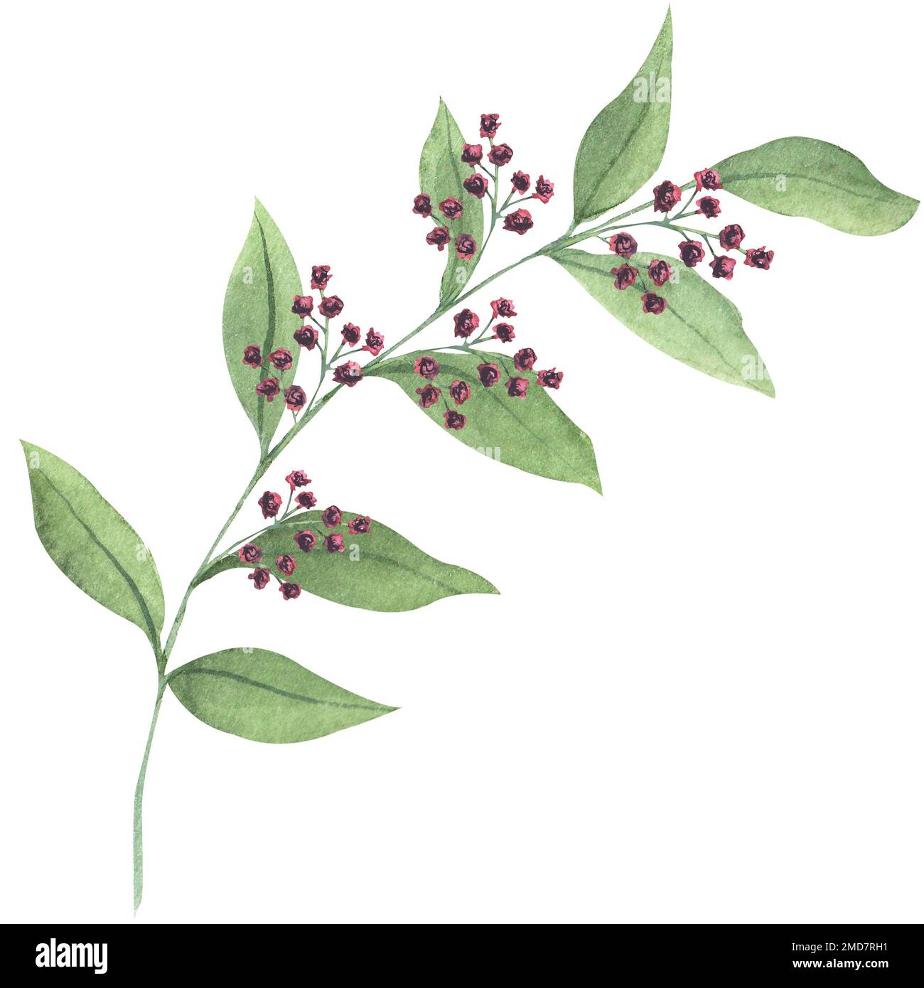Aquarellzusammensetzung von Blättern und Blumen, handgezeichnete botanische Darstellung von Blumen und Blättern in Magenta. Stockfoto