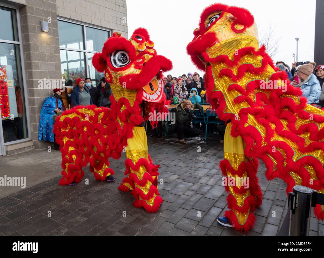 Detroit, Michigan, USA. 22. Januar 2023. Die Michigan Taiwanese American Organization feiert das neue Mondjahr mit einer Parade, Löwentanz und Drachentanz im Valade Park. Kredit: Jim West/Alamy Live News Stockfoto