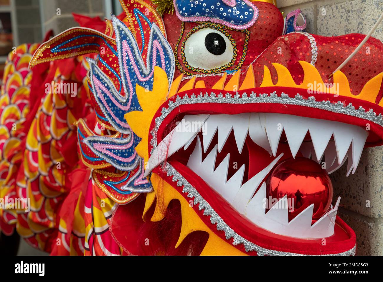 Detroit, Michigan, USA. 22. Januar 2023. Die Michigan Taiwanese American Organization feiert das neue Mondjahr mit einer Parade, Löwentanz und Drachentanz im Valade Park. Kredit: Jim West/Alamy Live News Stockfoto