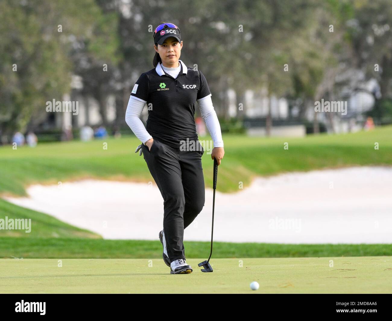 Orlando, Florida, USA. 22. Januar 2023. Moriya Jutanugarn aus Thailand nähert sich dem 18. Green während der letzten Runde des Hilton Grand Vacations Tournament of Champions im Lake Nona Golf & Country Club in Orlando, FL. Romeo T Guzman/CSM/Alamy Live News Stockfoto