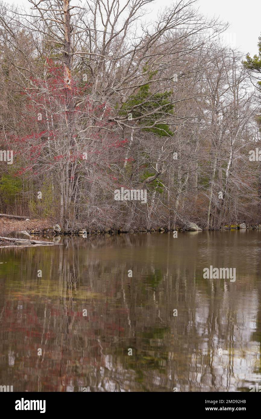 Dieses Feuchtgebiet umgibt einen Teil von Salem, NH. Gleich die Straße runter ist Canobie Lake Park, ein großer Vergnügungspark mit allen Arten von Fahrgeschäften und Unterhaltung. Bu Stockfoto