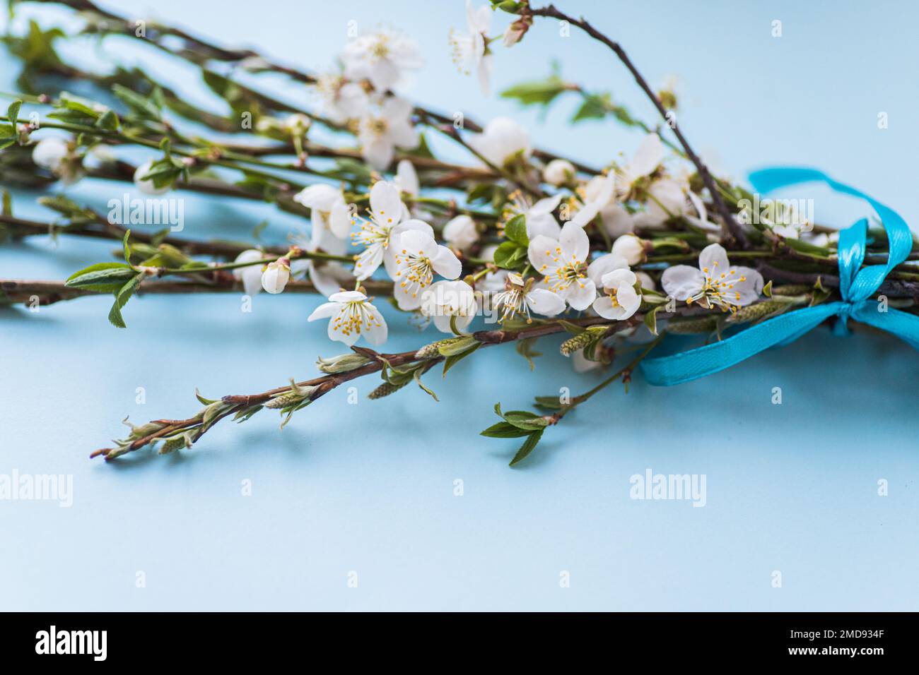 Text Palm Sunday. Strauß aus Weiden- und Kirschzweigen. Symbol der christlichen Religion, des Glaubens an Gott. Orthodoxer Palm-Sunday-Hintergrund Stockfoto