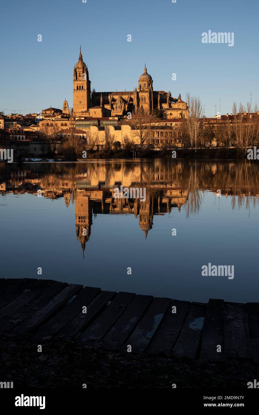 catedral de Salamanca reflejada en el Tormes Stockfoto