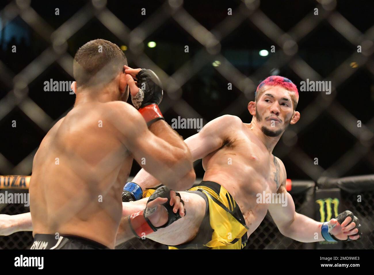 Thiago moises Fotos und Bildmaterial in hoher Auflösung Alamy