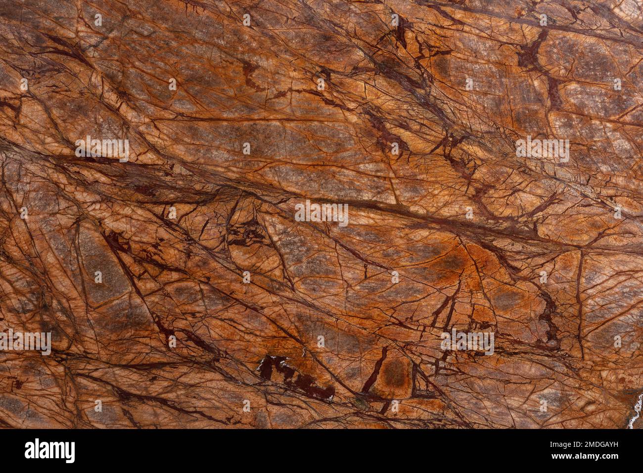 Bidasar Brown. Regenwald Braunes Detailbild. Hellbrauner Marmor, chaotische dunkelbraune und beige Streifen. Natürliche Materialien für den Innenraum Stockfoto