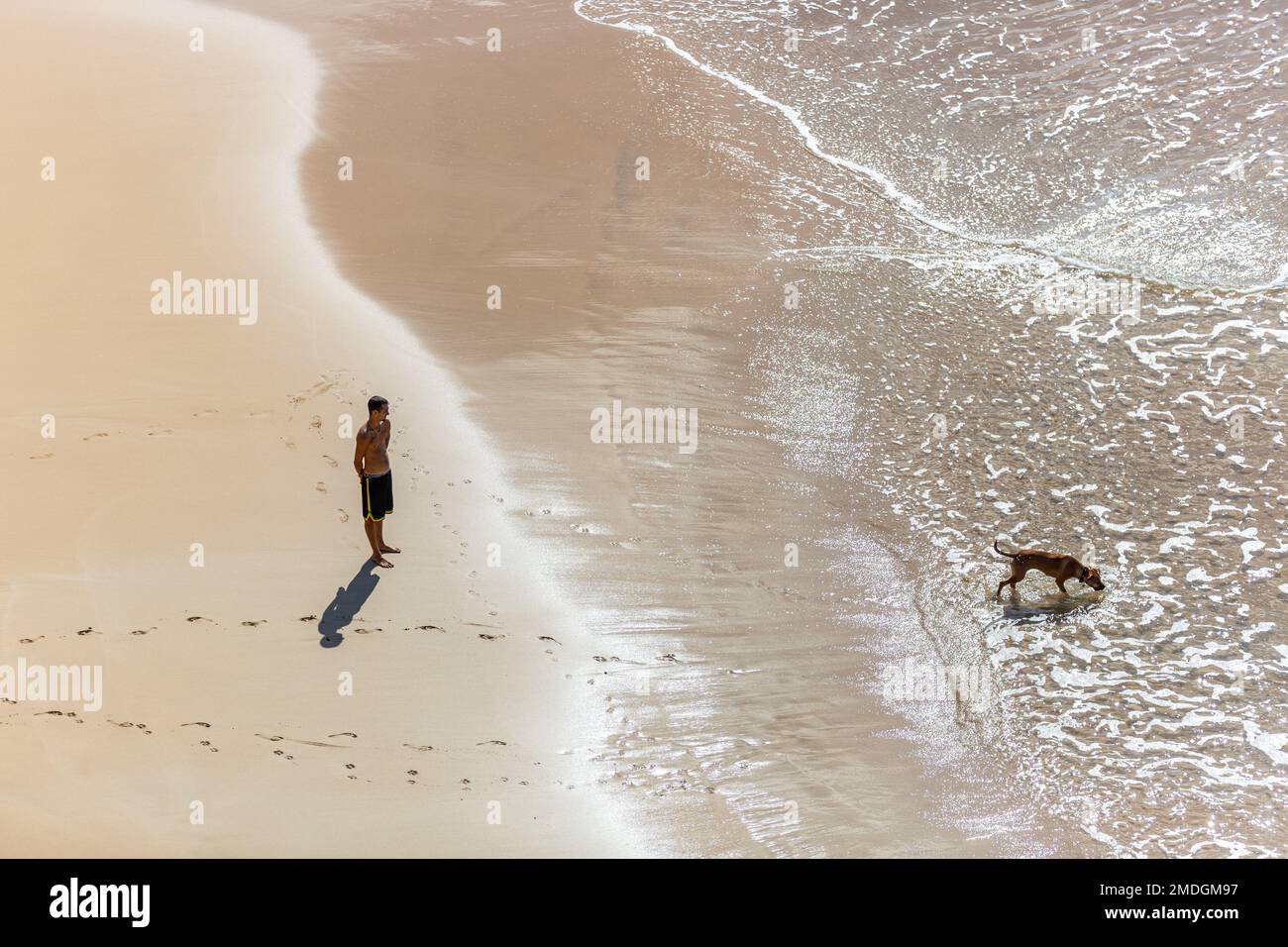 Ein Mann beobachtet seinen Hund beim Baden am Strand von Cotillo, Fuerteventura, Kanarische Inseln. Stockfoto