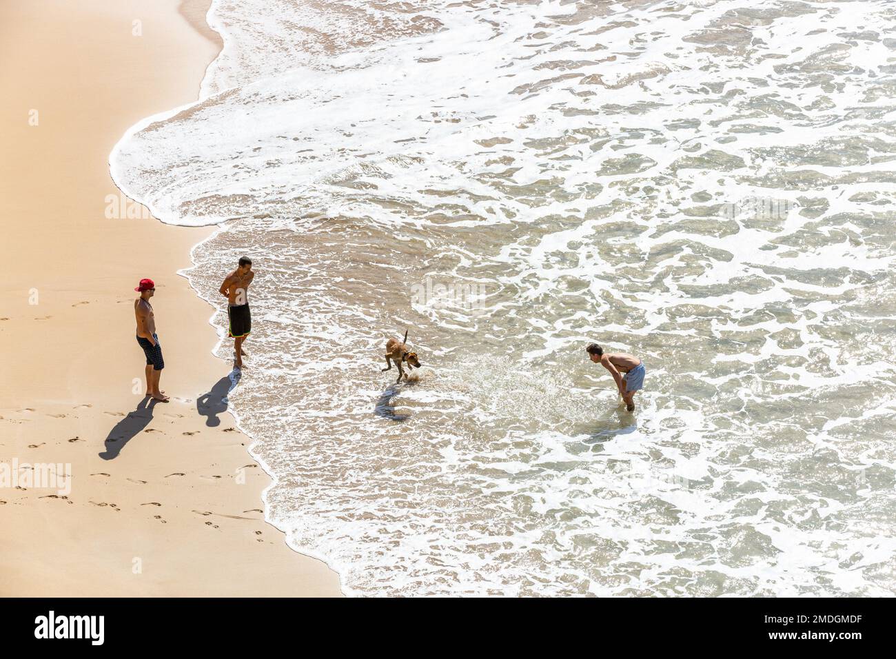 Drei Leute und ein Hund spielen am Strand in Cotillo, Fuerteventura, Kanarische Inseln. Stockfoto