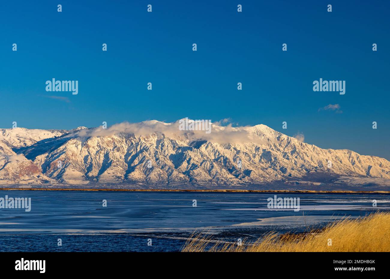 Dies ist ein Blick auf den majestätischen Willard Mountain an einem hellen, sonnigen Januartag. Der Blick vom Bear River Migratory Bird Refuge, Utah, USA, nach Osten. Stockfoto