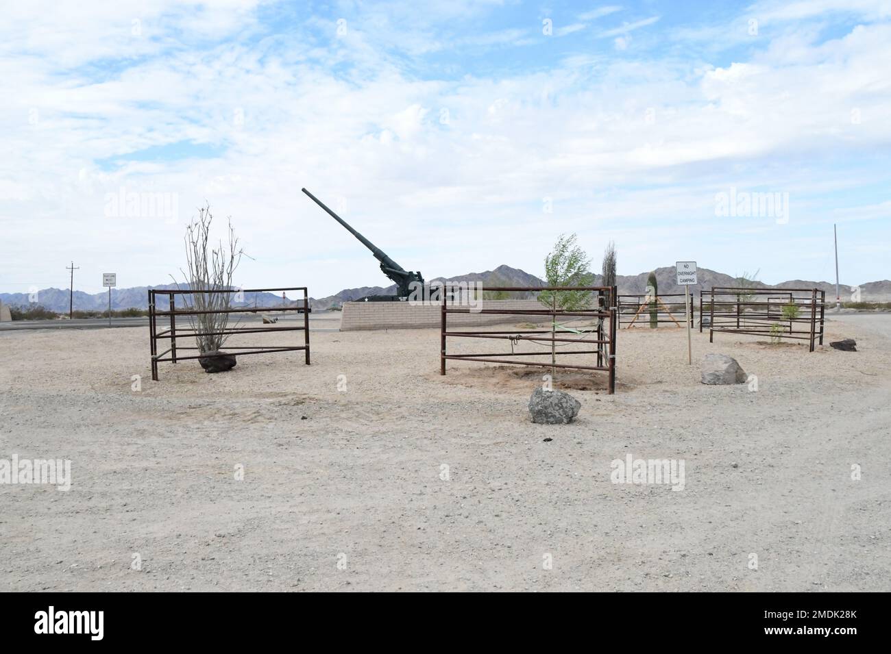 USA Die YPG Environmental Division (Army Yuma Proving Ground) hat einheimische Bäume und Kakteen rund um die berühmten Big Guns entlang des Highway 95 gepflanzt. Passanten werden bemerken, dass die Willows, Palo Verde, Ocotillo und Saguaros durch temporäre Zäune geschützt werden. Der Sperrzaun wird etwa ein Jahr lang in Betrieb sein, wenn die Bäume sich besser etablieren und weniger Wasser benötigen. Stockfoto