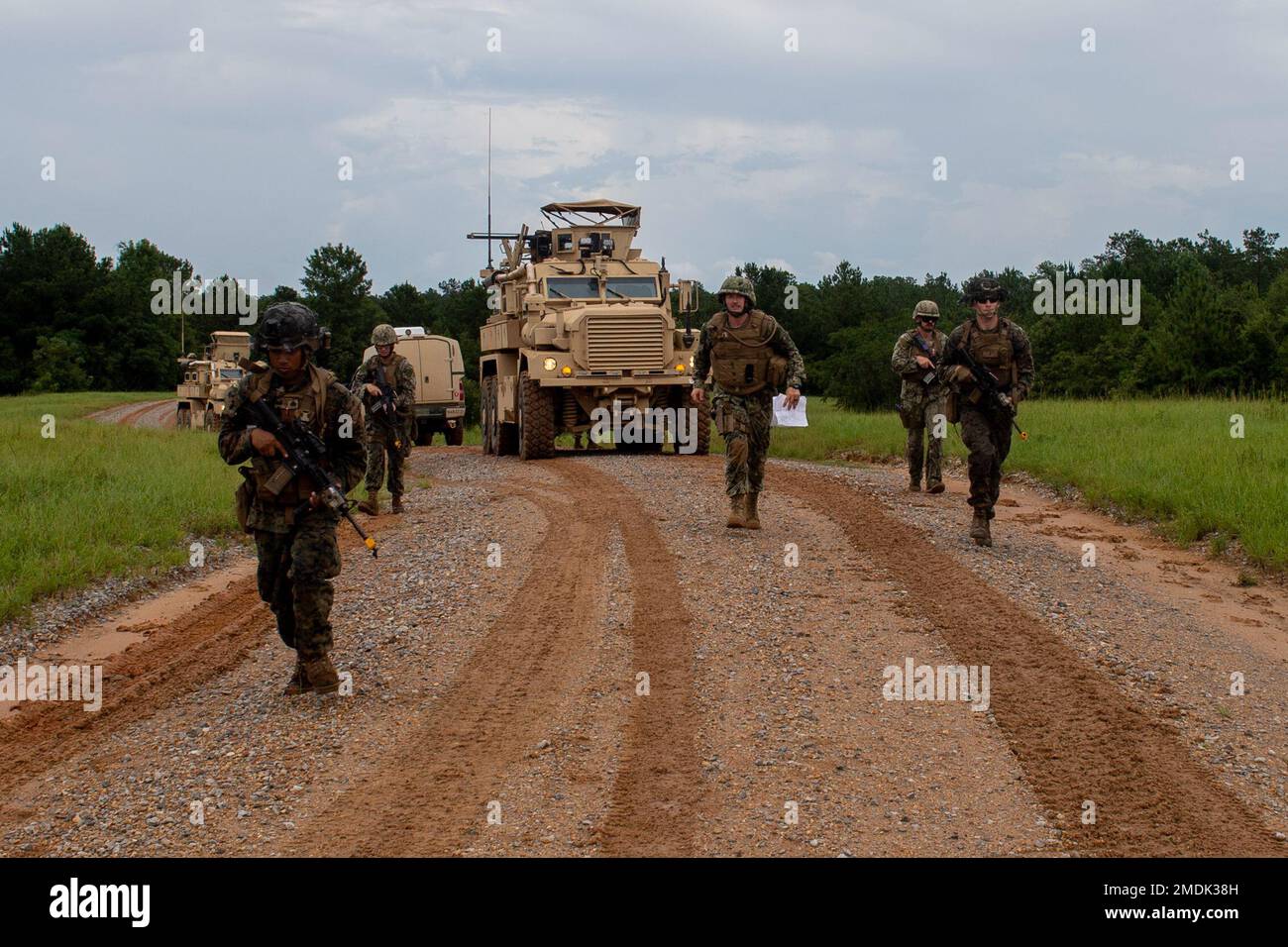 CAMP SHELBY, Miss. (25. Juli 2022) Seebäume, die dem mobilen Baubataillon der Marine (NMCB) 1 zugeteilt sind, und Marines, die der Stützschwadron der Marine Wing (MWSS) 273 zugeteilt sind, patrouillieren ihre Route während einer Streckenaufklärungsübung während des Wendepunkts der Operation, auch bekannt als Übung im Feld. Der Wendepunkt der Operation ist eine rund um die Uhr stattfindende Übung, bei der der Schwerpunkt auf dem Aufbau fortschrittlicher Grundlagen liegt, während gleichzeitig die Fähigkeit zur Taktik und Überlebensfähigkeit gewahrt bleibt. NMCB 1 wird aus Gulfport Homeportiert, Miss. Sie führen ein intensives Homeport-Training durch, um ihre abi zu erweitern Stockfoto