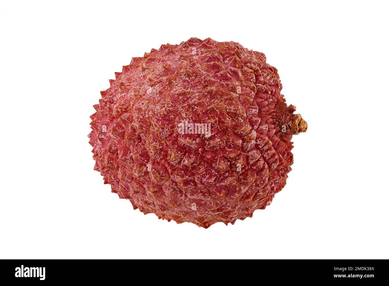 Litchi chinensis, Lychee, Litchi, Nahaufnahme, Obst Stockfoto