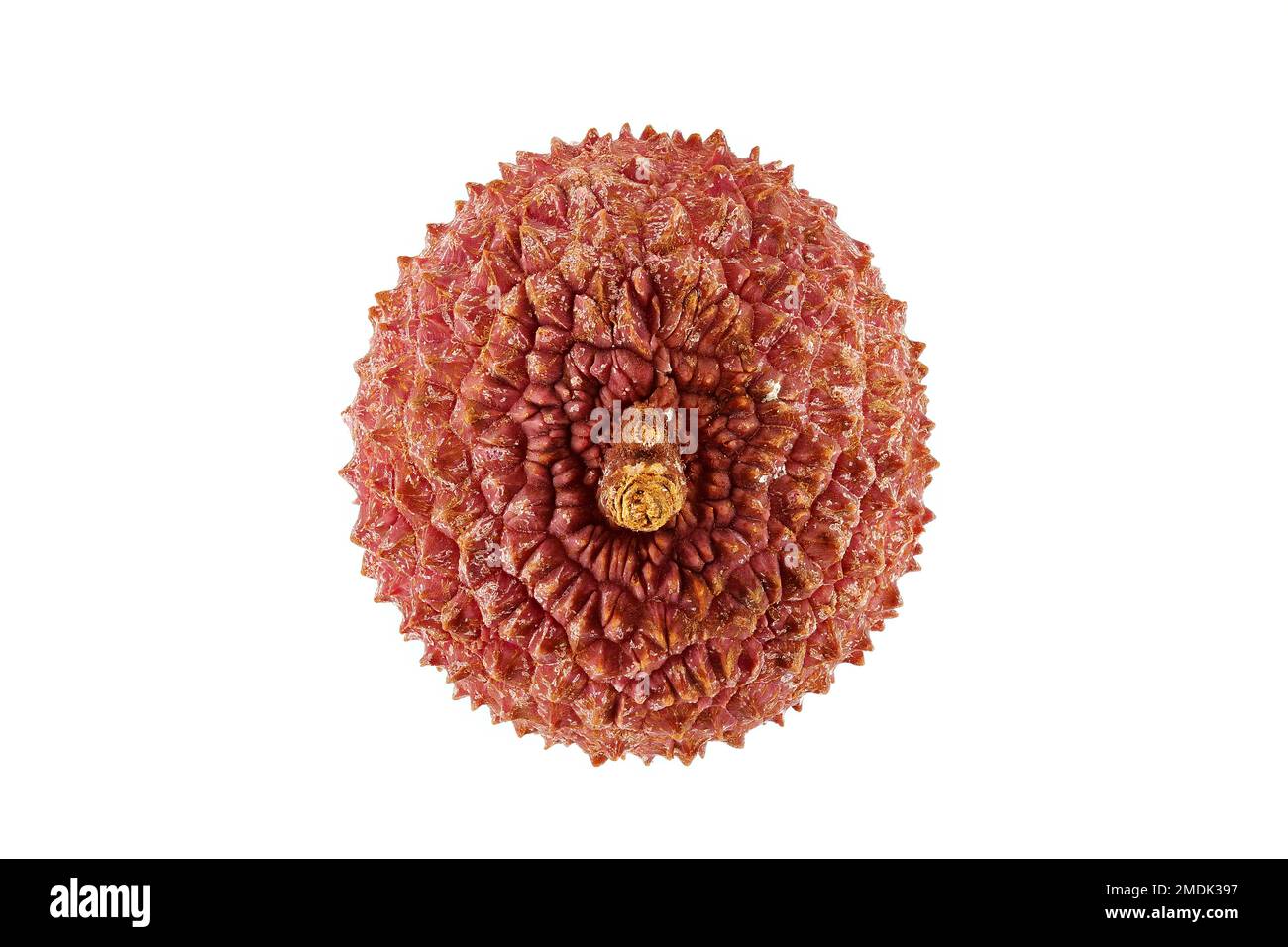 Litchi chinensis, Lychee, Litchi, Nahaufnahme, Obst Stockfoto