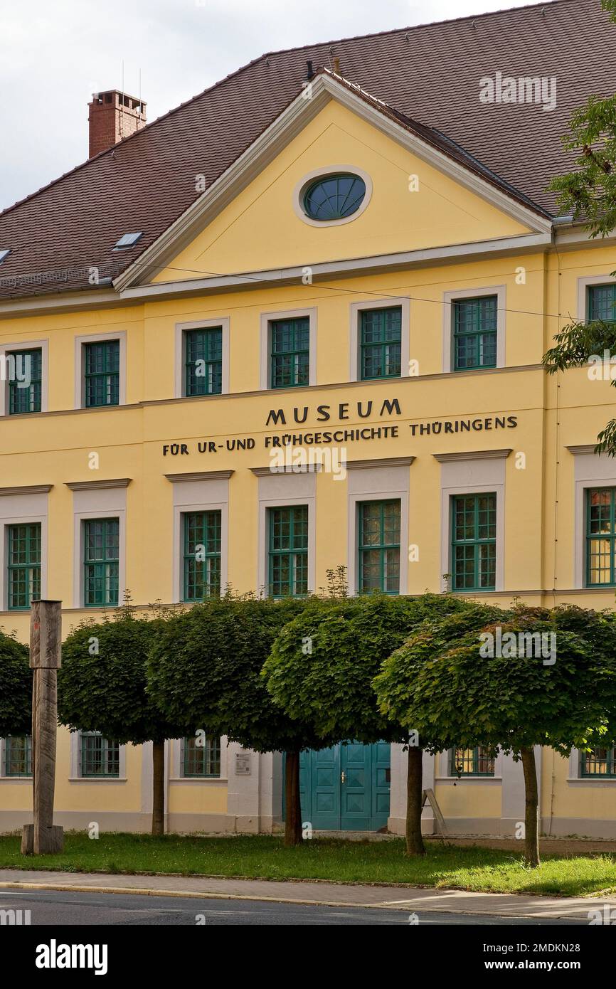 Museum für Vorgeschichte und frühe Geschichte von Thüringen, Deutschland, Thüringen, Weimar Stockfoto
