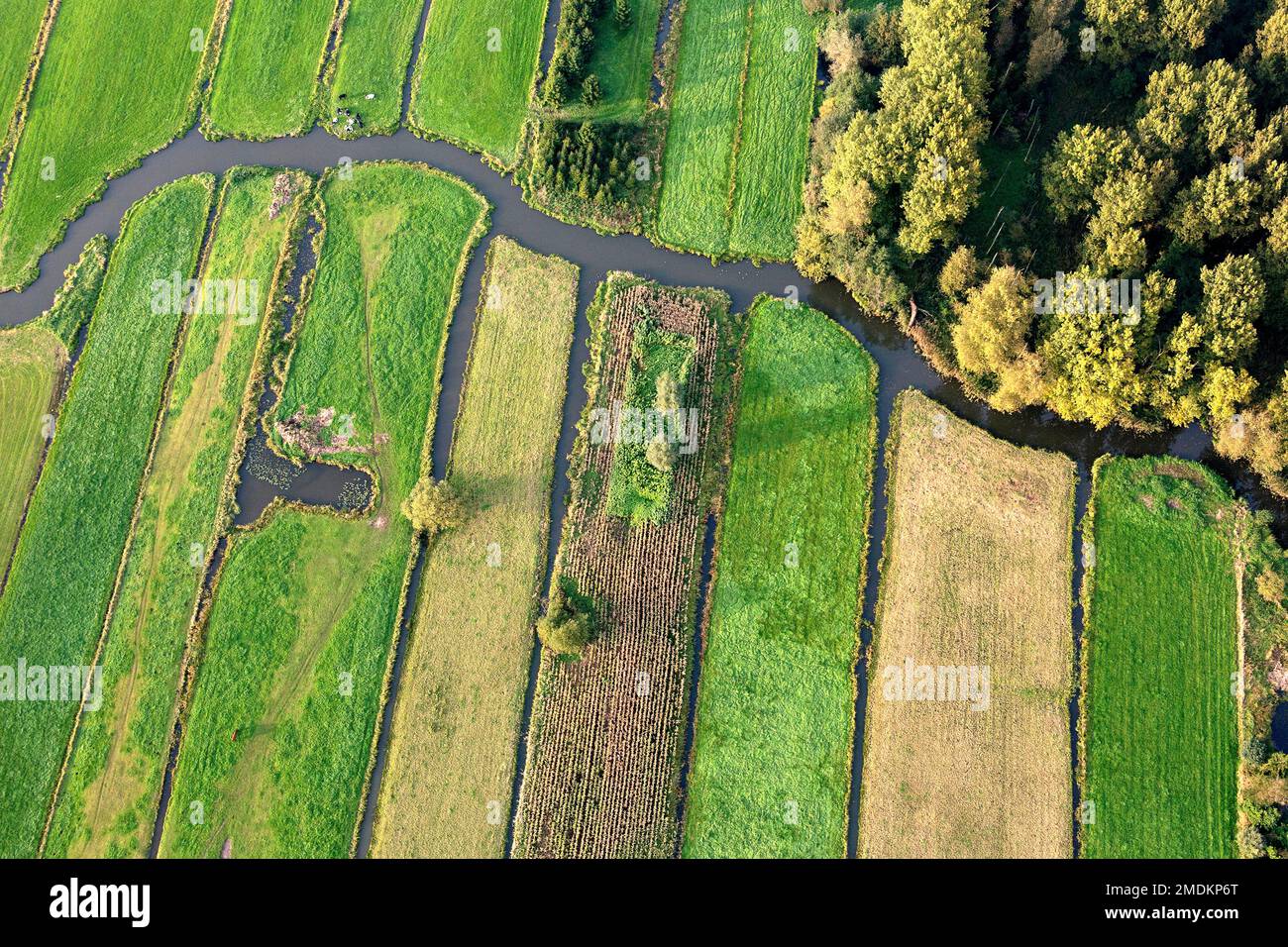 Feuchtgebiete und Entwässerungsgräben Sint Onolfspolder aus der Luft, Belgien, Ostflandern, Dendermonde Stockfoto