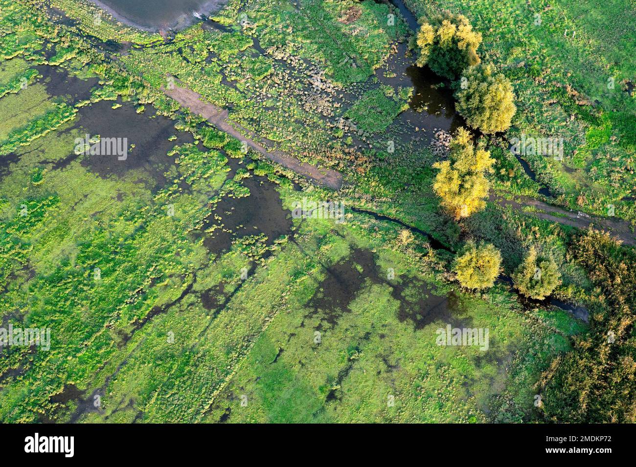 Bergenmeersen Feuchtgebiet aus der Luft, Belgien, Ostflandern, Uitbergen Stockfoto