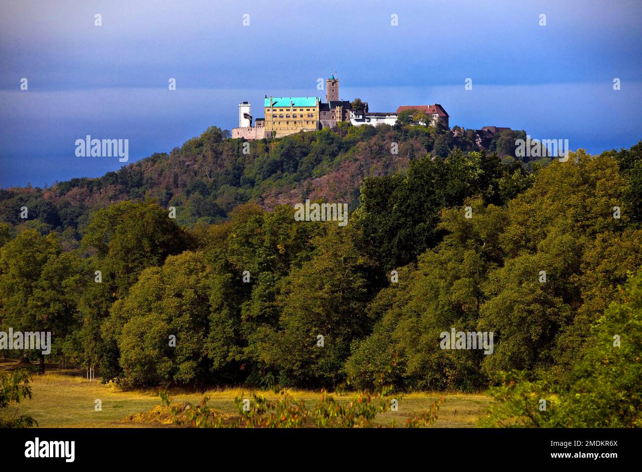 Wartburg im Thüringer Wald, Deutschland, Thüringen, Eisenach Stockfoto
