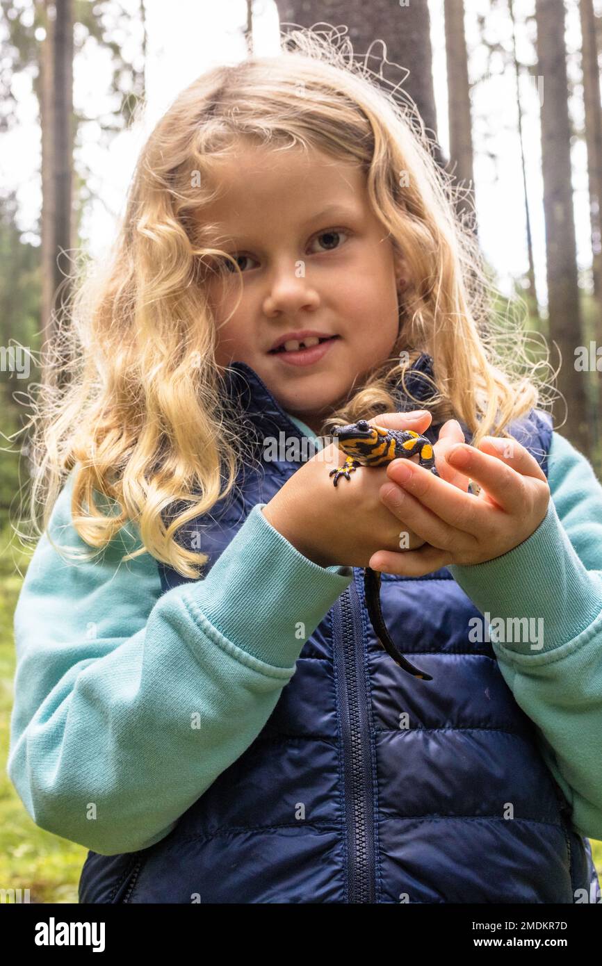 Europäischer Feuersalamander (Salamandra salamandra), kleines Mädchen mit salamandra in der Hand Stockfoto