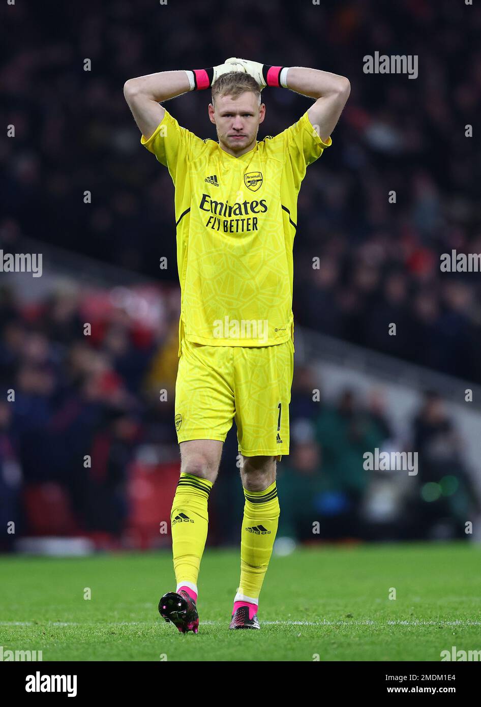 London, England, 15. Januar 2023. Aaron Ramsdale von Arsenal während des Premier League-Spiels im Tottenham Hotspur Stadium, London. Der Bildausdruck sollte lauten: David Klein/Sportimage Stockfoto