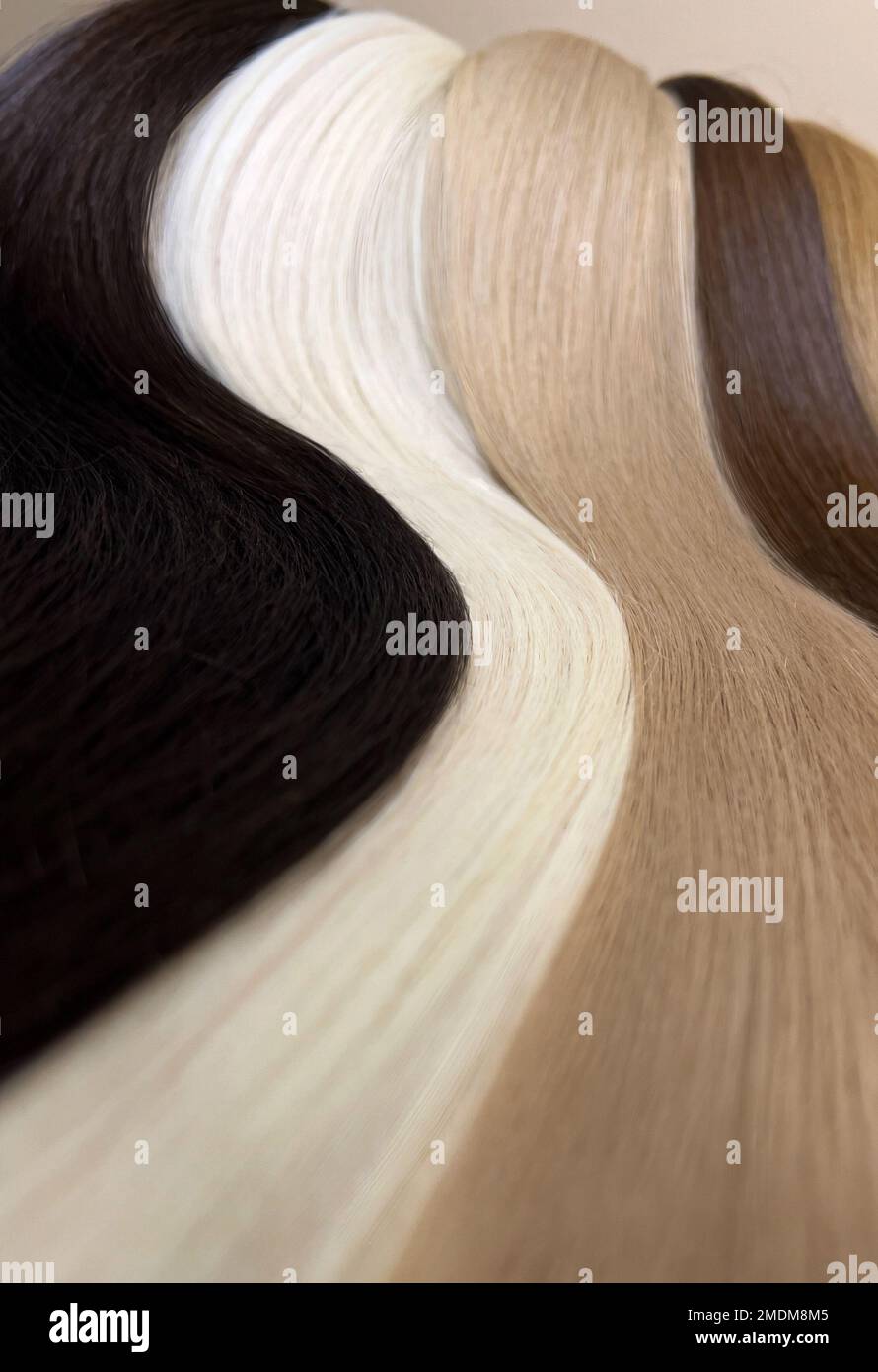 Strähnen aus natürlichem Haar in verschiedenen Farben für Verlängerungen. Haarfarbe. Nahaufnahme Stockfoto
