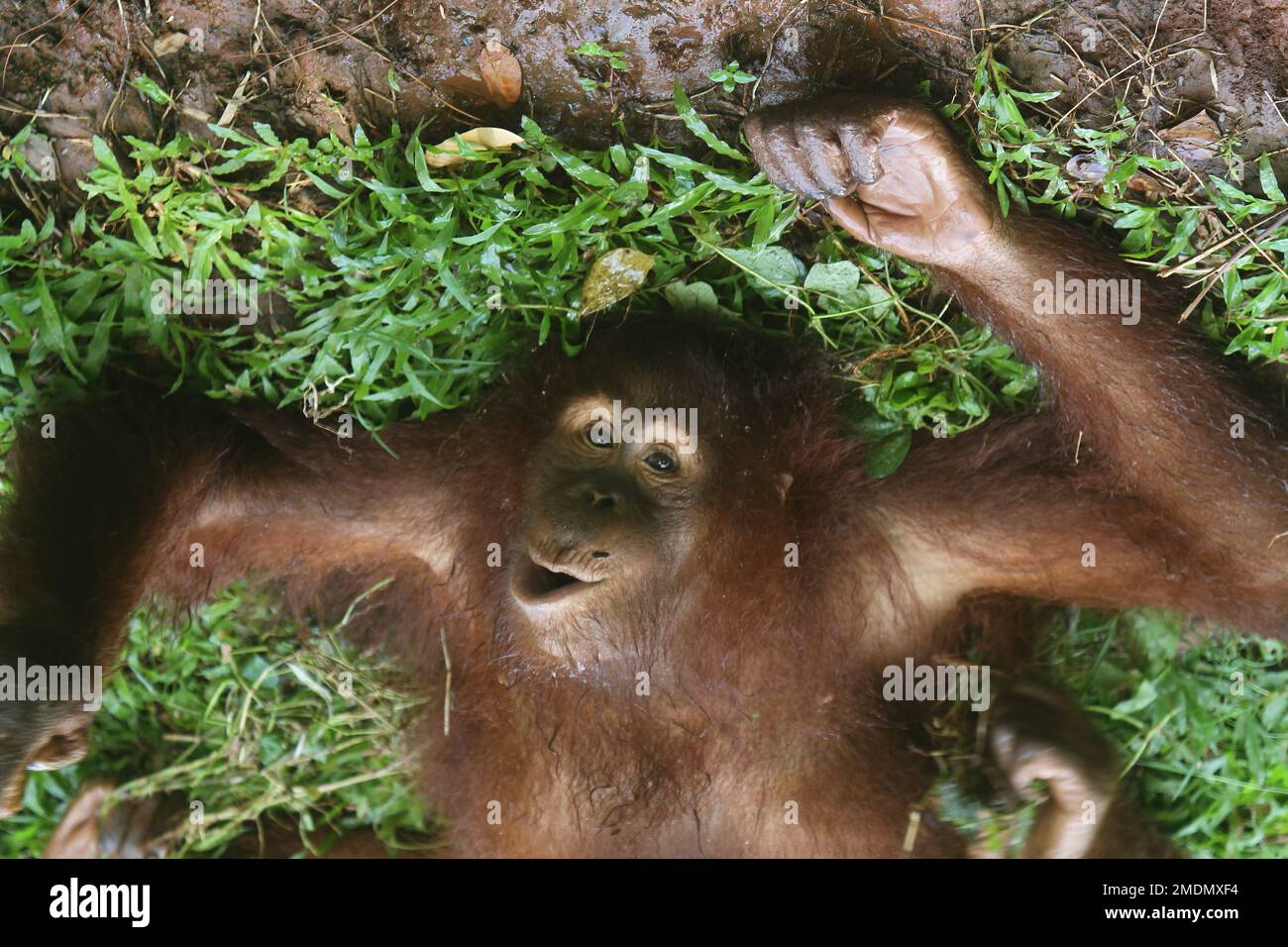 glückliche Zeit Stockfoto