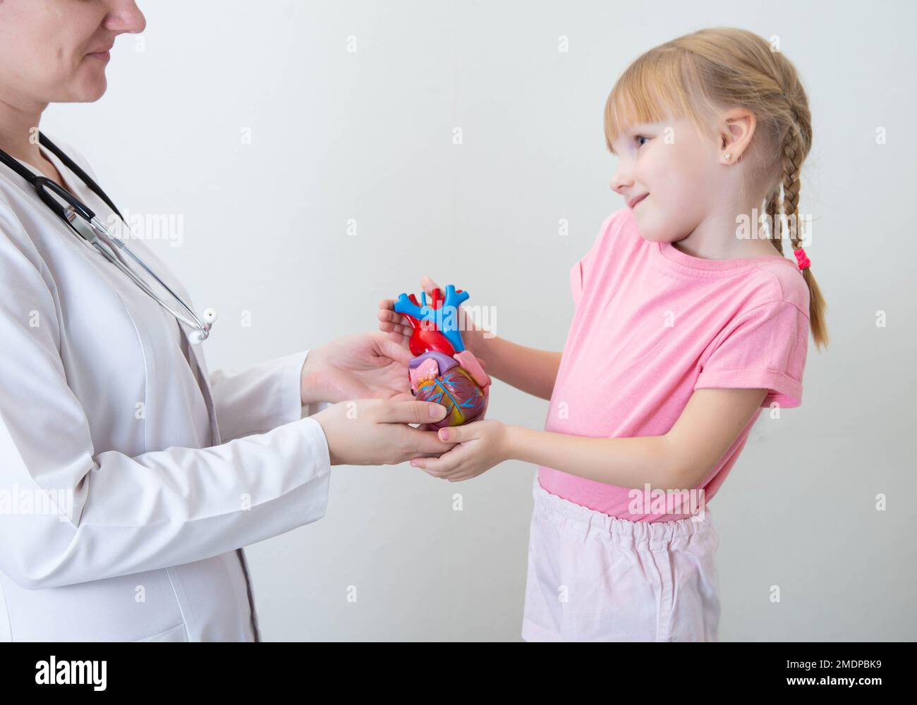 Ein Arzt und ein hübsches Mädchen, 5 Jahre alt, halten ein Modell eines Herzens in der Hand. Pädiatrische Herzchirurgie, angeborene Herzfehler, Kardiologe Stockfoto