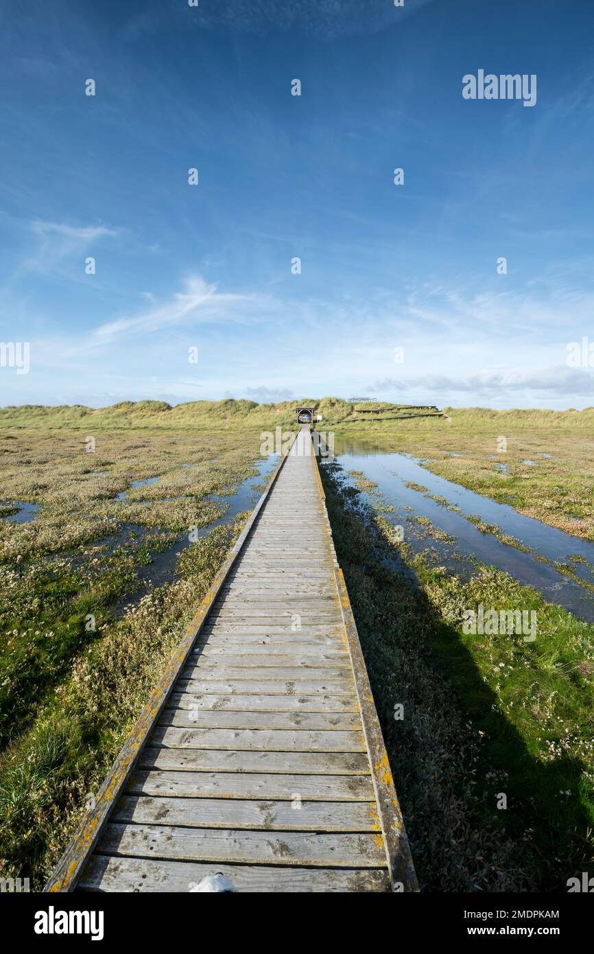 Das Naturschutzgebiet Gronant in der Nähe von Prestatyn an der Küste von Nordwales zeigt den Spaziergang an Bord zur Aussichtsplattform Little Tern Stockfoto