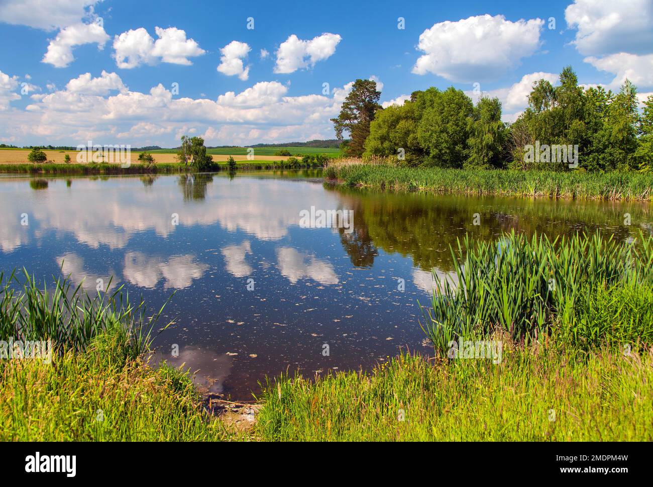 Wunderschöner Blick auf den Teich, Wolken spiegeln sich im See, Blick vom Bohemian und mährischen Hochland, Tschechische Republik Stockfoto