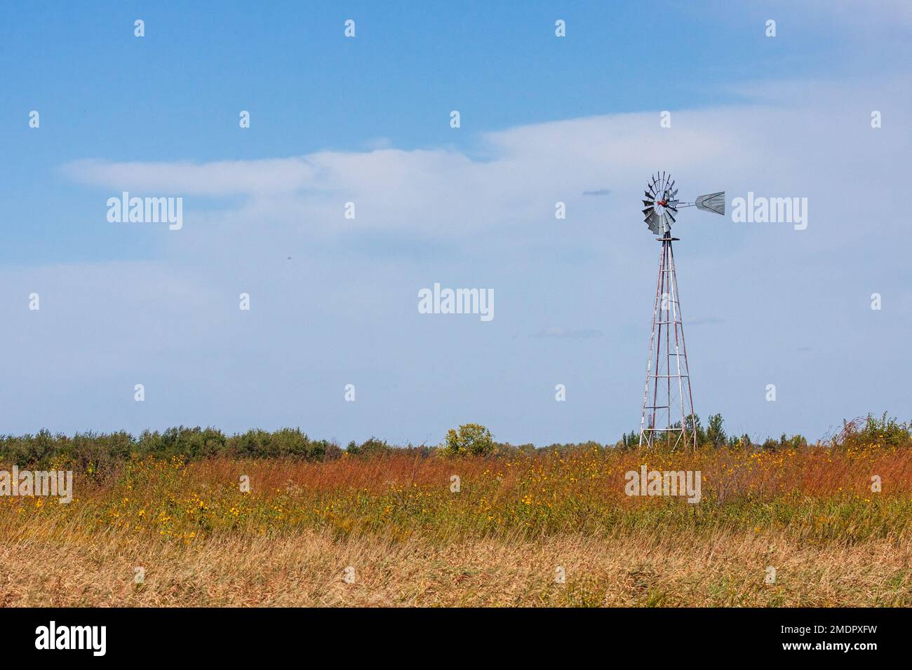Über einer riesigen Prärie erhebt sich eine traditionelle vierbeinige Windmühle in den blauen Himmel. Stockfoto