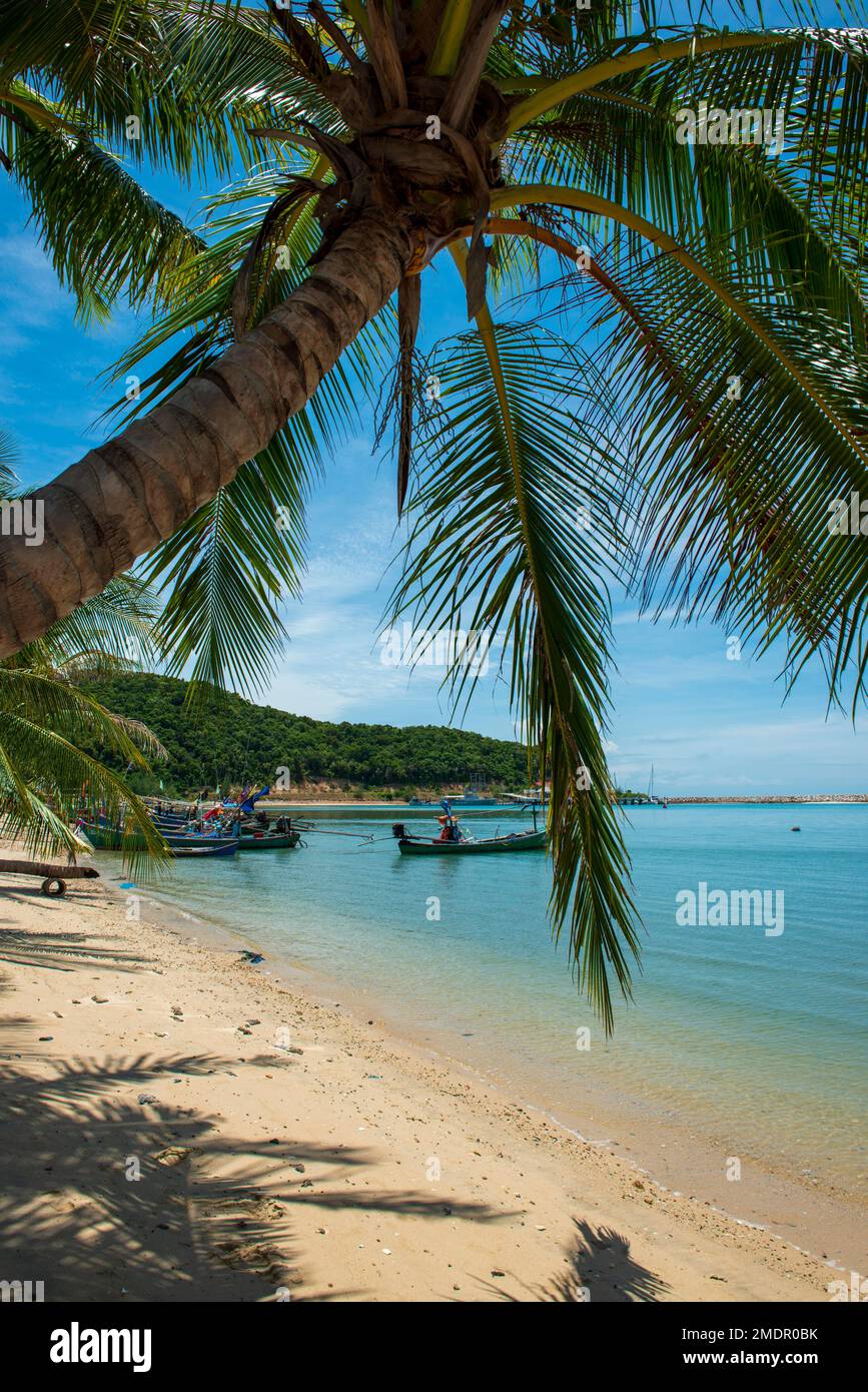 Palm Beach, Lipa Noi Beach, Ko Samui Island, Thailand, Asien Stockfoto