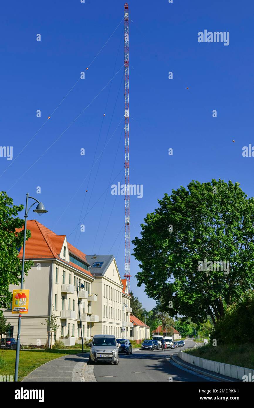 Übertragungsmast, Sender, Funkerberg, Koenigs Wusterhausen, Brandenburg, Deutschland Stockfoto