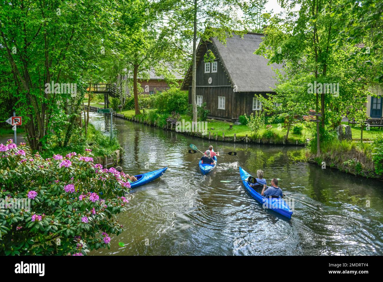 Tretboote, Lehder Fliess, Lehde, Luebbenau, Spreewald, Brandenburg, Deutschland Stockfoto