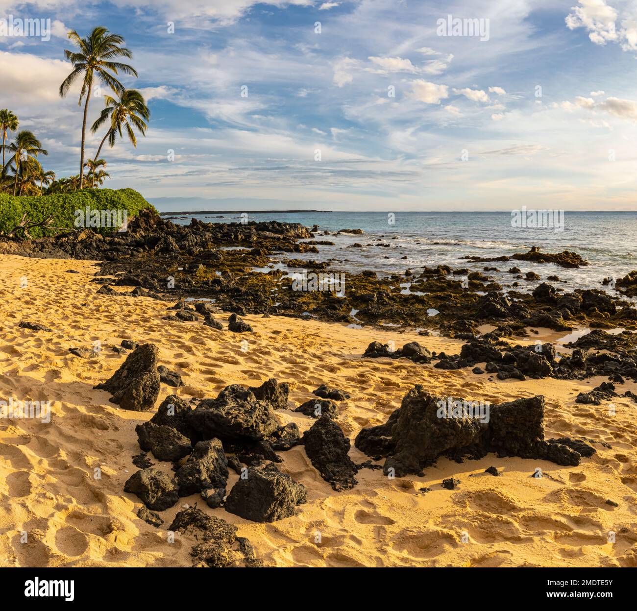 Palmen und Sand am Big Beach, Makena State Park, Maui, Hawaii, USA Stockfoto