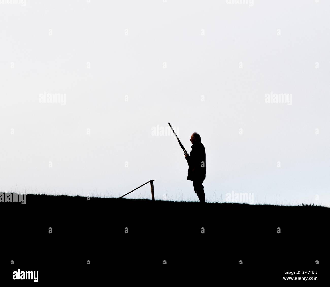 Silhouette eines Mannes mit Schrotflinte, der Fasane schießt Stockfoto