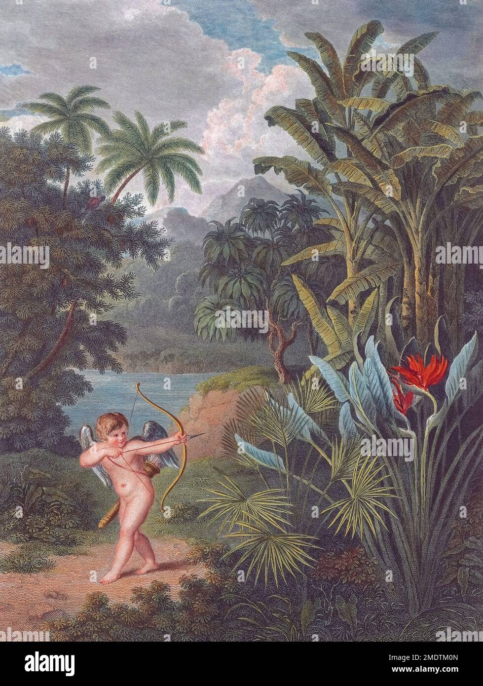 Amor inspiriert die Pflanzen zu lieben. Illustration im Tempel der Flora, oder Garten des Botanikers, Dichters, Maler und Philosophen, veröffentlicht von Robert John Thornton. Nach einer Gravur von Francesco Bartolozzi und John Landseer aus dem Jahr 1827 von Philip Reinagle. Stockfoto