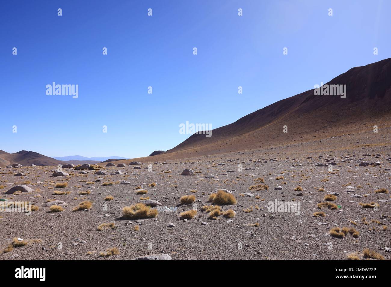 Die wunderschönen Farben des Puna Argentina Stockfoto