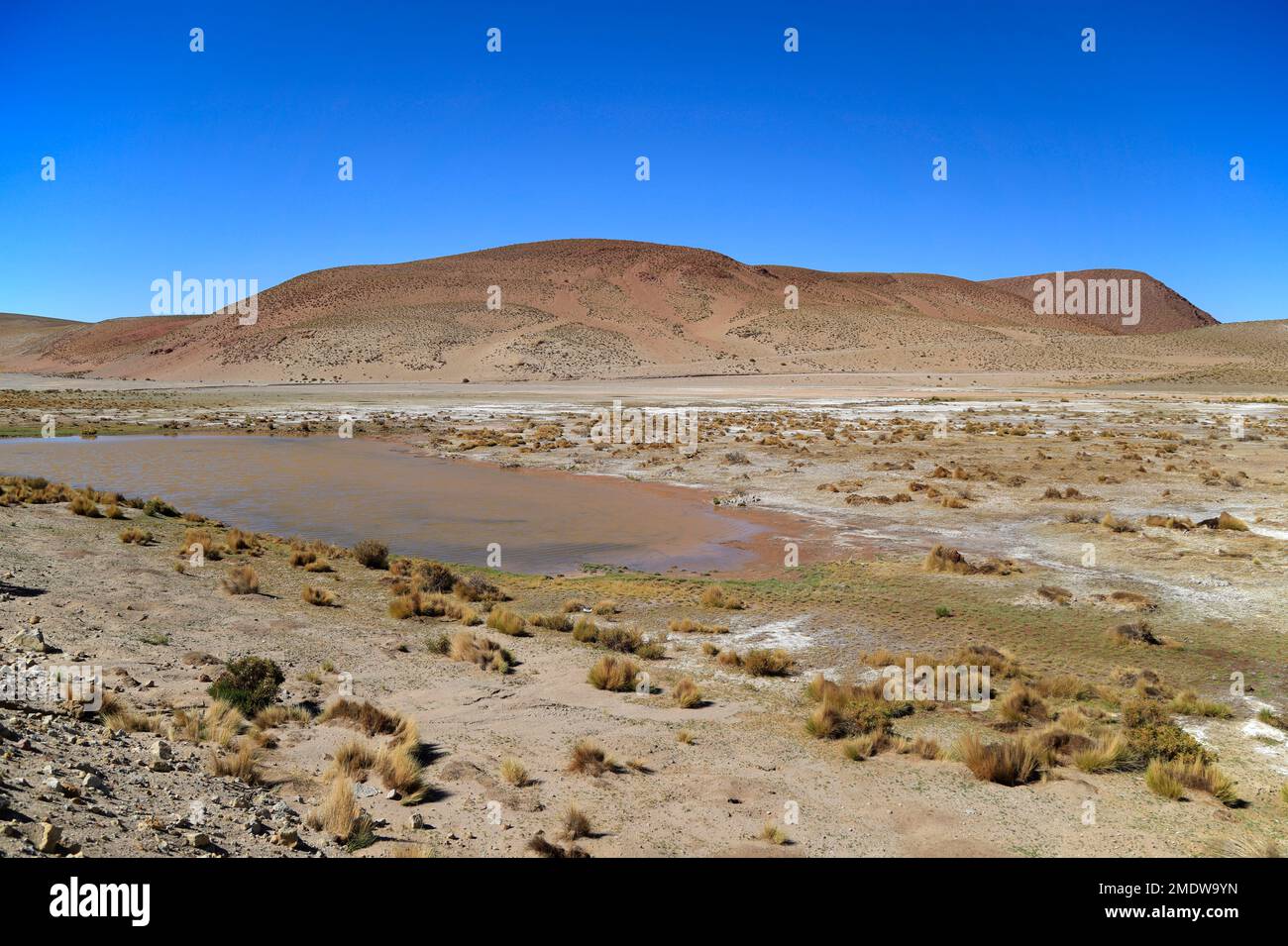 Die wunderschönen Farben des Puna Argentina Stockfoto