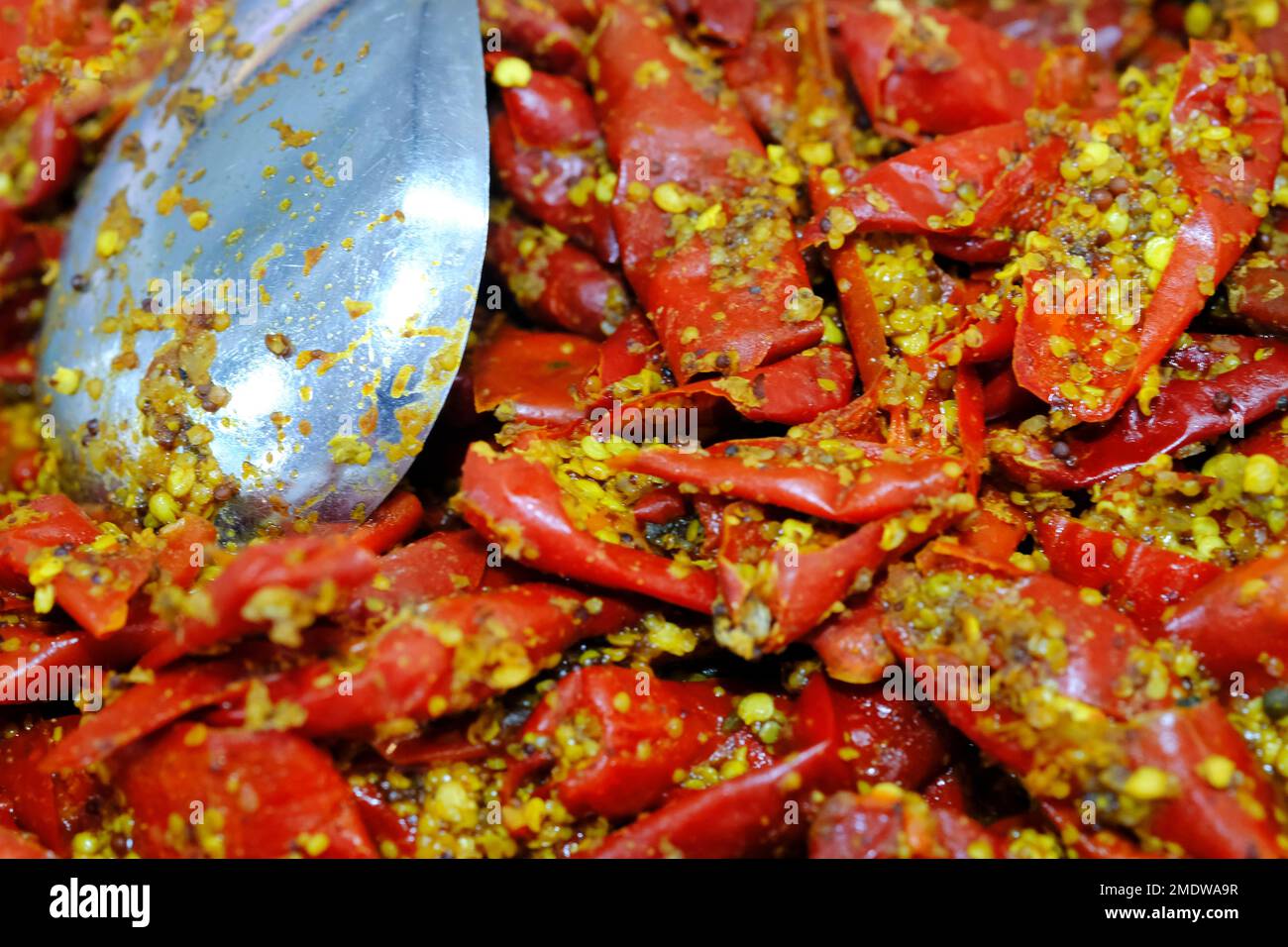 Hausgemachte rote oder grüne Chilispüree, indische würzige Gurken, indische Gewürze mit rohen roten und grünen Chilischoten, selektiver Fokus. Stockfoto