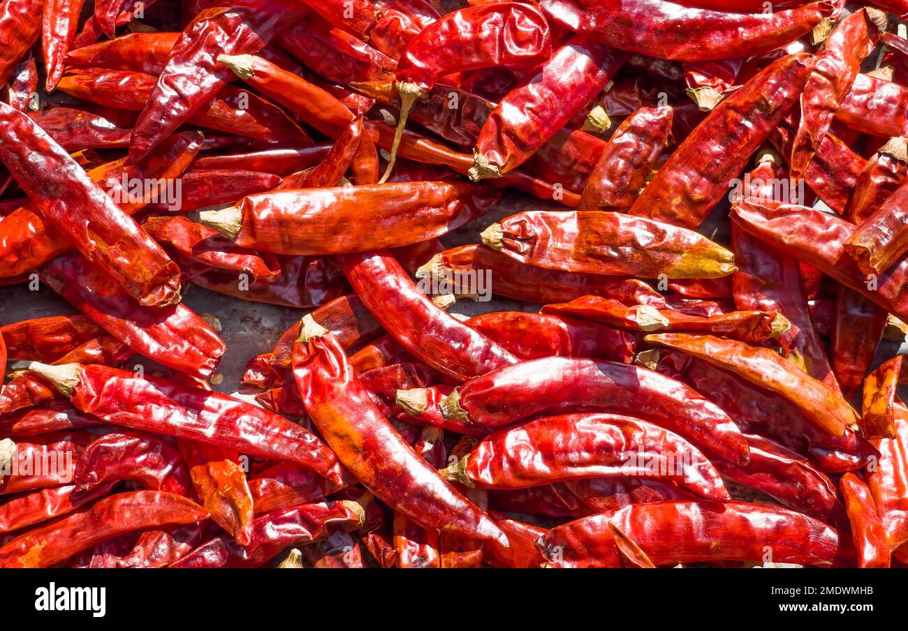 Getrocknete würzige rote Chilischoten heißen Hintergrund. Essen, internationale Küche und weltweites Reisekonzept. Stockfoto