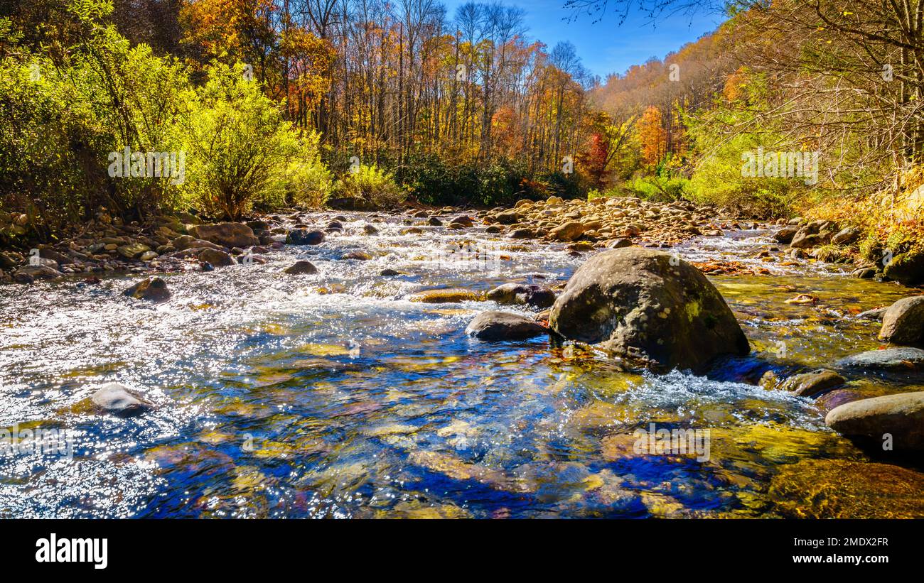 Herbstszene an einem Bach im Pisgah National Forest in North Carolina Stockfoto