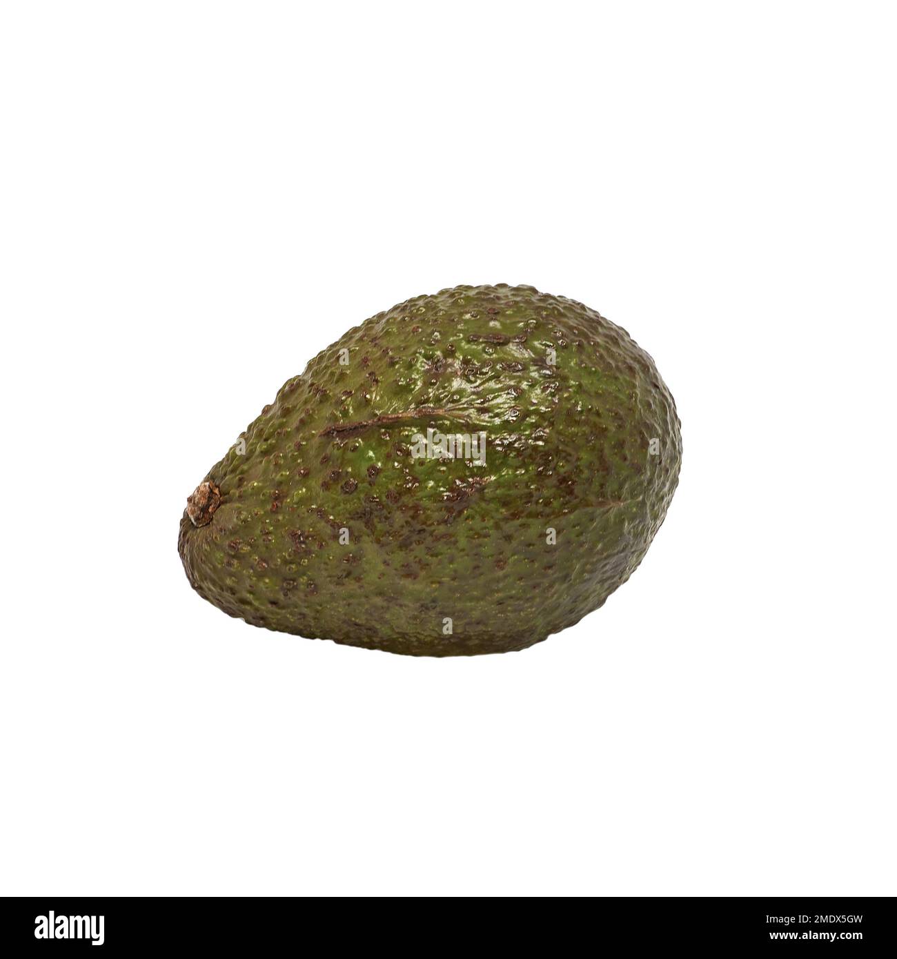 Bild einer reifen Avocado auf weißem Hintergrund Stockfoto
